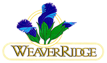 logo web